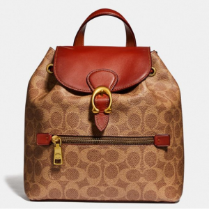 Evie Backpack 22 In Signature Canvas