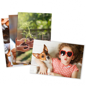 照片打印 标准尺寸(4X6)