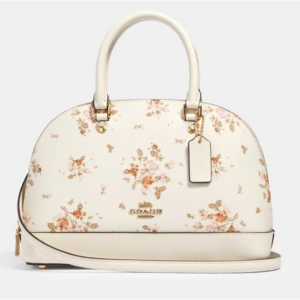 Coach Mini Sierra Satchel With Rose Bouquet Print