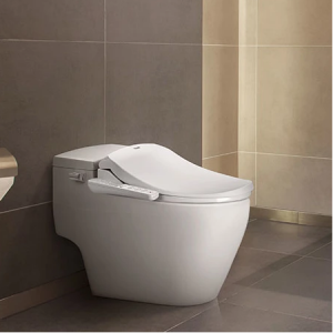 BioBidet 细长加长马桶盖,带有自动清洁喷嘴,夜灯和融合式温水技术