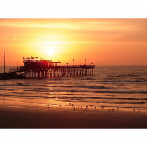 8 Top Things to do with Kids in Galveston, Texas - Best Time and Hotels