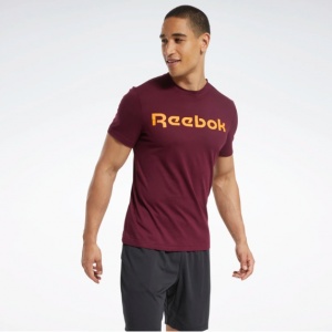 ФУТБОЛКА GRAPHIC SERIES LINEAR LOGO