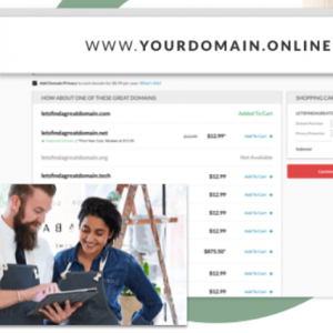 Netfirms - 网站域名低至$2.99/年