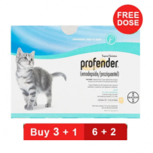 小型貓咪拜耳滴即樂