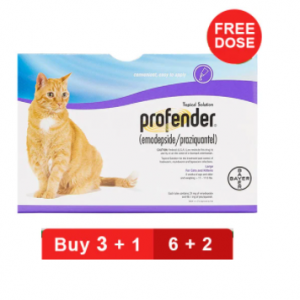 大型貓咪拜耳滴即樂