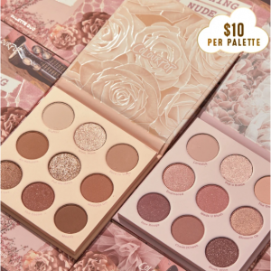 blushing nude shadow palette vault