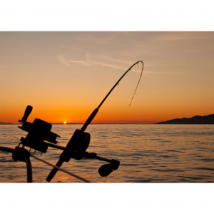 9个加拿大购买钓鱼装备及渔具的网站推荐（附优惠码） - 新手钓鱼必备用品！ - Extrabux