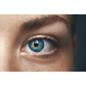 2024美国销量较好的护眼（视力）保健品推荐（购买网站+10%返利）- 预防眼睛干涩，保护视力，眼部疾病等！