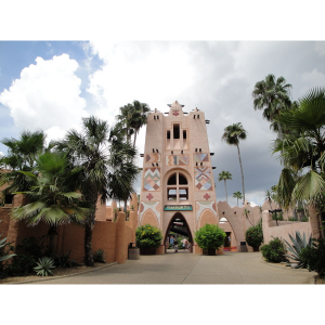 First Timer's Guide to Busch Gardens Tampa