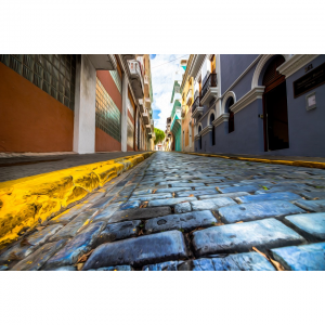 5 Amazing Pet-Friendly Hotels in San Juan Islands - A Traveler’s Guide