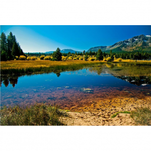 8 Road Trips from San Francisco for a Family Weekend Getaway On a Budget