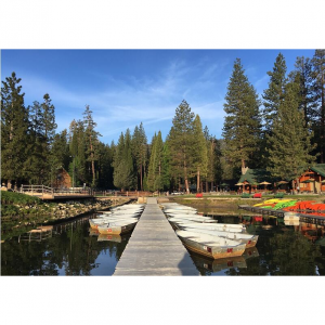 The Ultimate Road Trip: Los Angeles to Sequoia and Kings Canyon National Parks