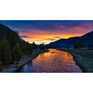 10 Family-Friendly Homestays with Good Prices in Yellowstone National Park