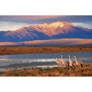 6 Incredible Road Trip Stops from Albuquerque to Colorado Springs and Everywhere in Between