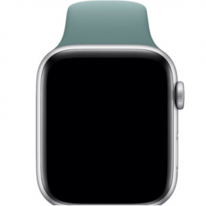 Best Buy - Apple Watch 官方表带，直降$20