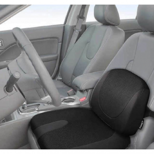 lumbar support costco