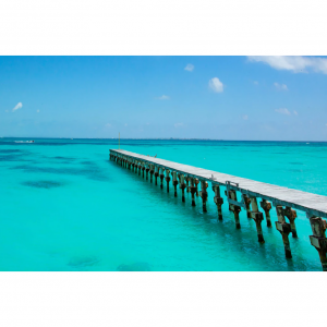 超详细美国冬季度假攻略 - 7个暖如春天的景点推荐！