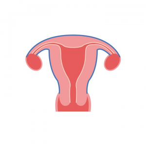 卵巢衰老、卵巢保养科普及方法（附保卵巢保健品推荐+15%返利）