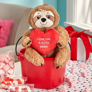Snuggly Sloth In A Bucket