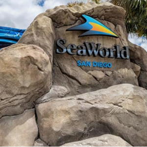 Sea World - 加州聖地亞哥 Sea World 單日門票，最高立減$20