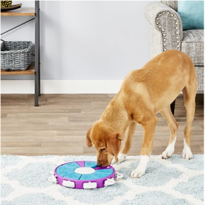 Nina Ottosson by Outward Hound Twister Puzzle Game Dog Toy @ Chewy