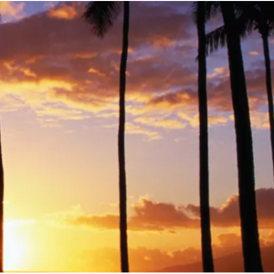 $100 off + earn 5000 bonus HawaiianMiles with your flight + hotel package @Hawaiian Airlines 