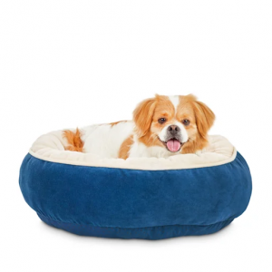 Animaze & Everyyay Dog Beds Sale @ Petco