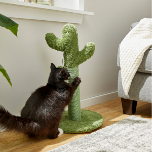 Frisco Cactus Cat Scratching Post, 22-in @ Chewy