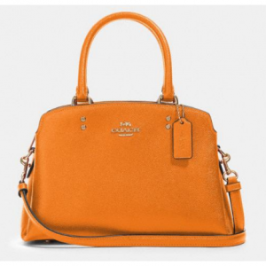 Mini Lillie Carryall