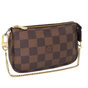 Louis Vuitton POCHETTE ACCESSOIRE CLOTH CLUTCH BAG