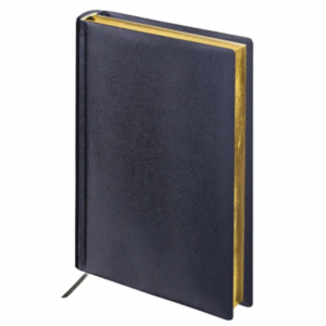 Ежедневник BRAUBERG Iguana недатированный, А5, 160 листов, черный