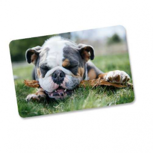 4x6 Photo Magnet @ Snapfish