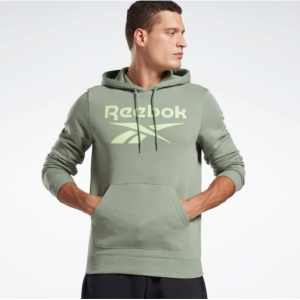 Reebok Identity Big Logo Hoodie