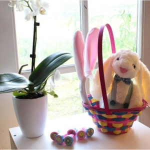 Jumbo Easter Egg Prefilled with Plush Easter Bunny and Ear Headband @ Daily Steals