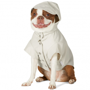 SSENSE EVERYTHING ELSE - Rains Pets Collection from $40