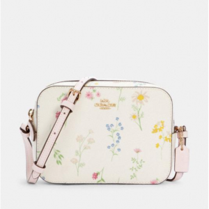 Coach daisy bag