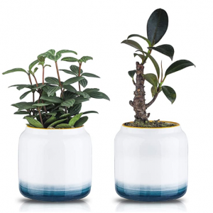 HERDUK Succulent Pots 2 Pack, 3.5 Inch @ Amazon