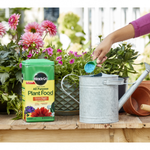 Miracle-Gro 水溶性化肥 5磅 室内盆栽或种植蔬菜瓜果必备 @ Walmart