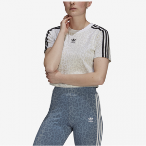 adidas Cropped T-Shirt - Women's @ Footaction