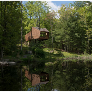 Airbnb - 纽约周边 柳灌木树屋Willow Treehouse