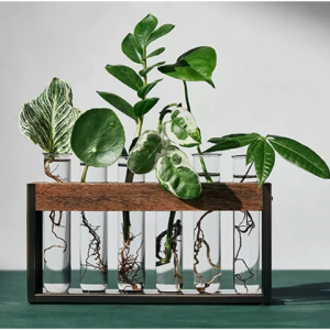 6.75" x 2.5" Wood/Metal Plant Stem Stand