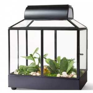 10" x 9" Iron/Glass House Terrarium Planter Black