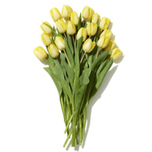 Mother's Day Shop - 20-Stem Tulips (Colors May Vary) @ Amazon