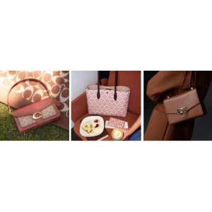 Coach,Kate Spade和Michael Kors哪个牌子好?档次高?(品牌历史+质量+风格+价格)