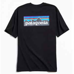 Urban Outfitters官网 Patagonia P-6 Logo Responsibili 男士T恤热卖 两色可选