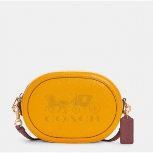 Coach 马车相机包