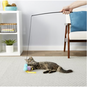 Frisco Bird Teaser with Feathers 猫玩具