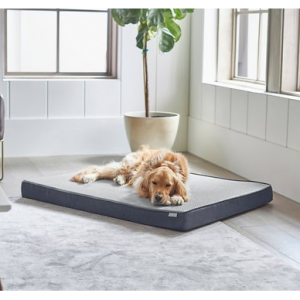 Frisco 冷却矫形枕狗床，带可拆卸盖，灰色
