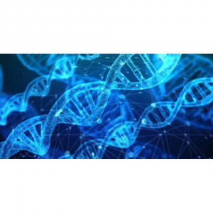 2024最新DNA检测盒及检测服务推荐（基因检测好处+价格+购买网站）