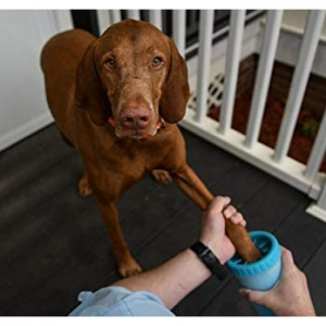 Dexas MudBuster Portable Dog Paw Washer/ Paw Cleaner, Medium, Blue @ Amazon